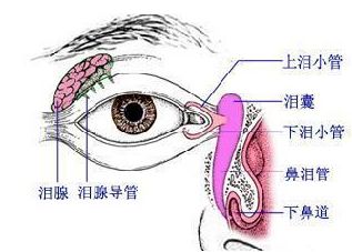 泪道病较主要的手段